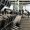 Anytime Fitness opzeggen