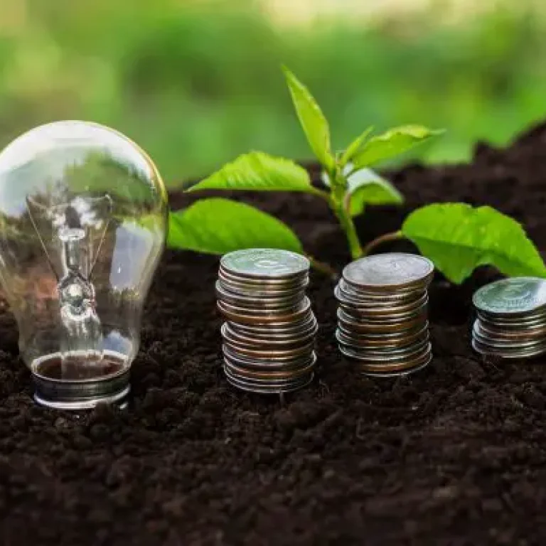 Duurzaam Vermogensbeheer voor Verantwoorde Toekomstgerichte Beleggingen